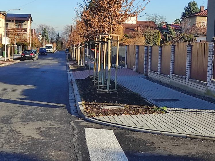 Oświęcim pięknieje. Wzdłuż ulicy Piłsudskiego stanęły... [FOTO]