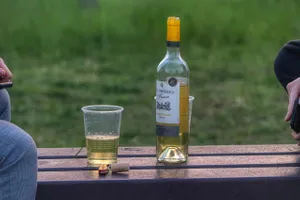 Kraków. Czy będzie można legalnie pić w plenerze? "Należy zaostrzyć przepisy"