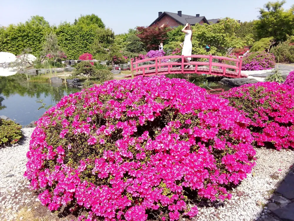 Zaczarowane Ogrody W Pisarzowicach FOTO 