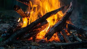 Ania poszła na randkę. Jej zwłoki znaleziono w ognisku