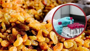 Uwaga na wielkanocne wypieki! Popularne rodzynki nafaszerowane pestycydami