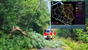 Silny wiatr i burze w Małopolsce. Strażacy w akcji