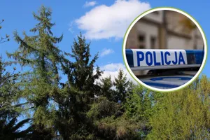 Tragiczne odkrycie w Małopolsce. W lesie odnaleziono zwłoki mężczyzny