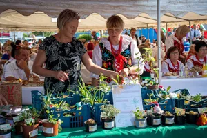 Święto Plonów w Bysinie – Dożynki Gminne już 31 sierpnia!