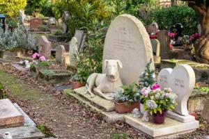 Cmentarze dla zwierząt. Czy powstaną w Krakowie?