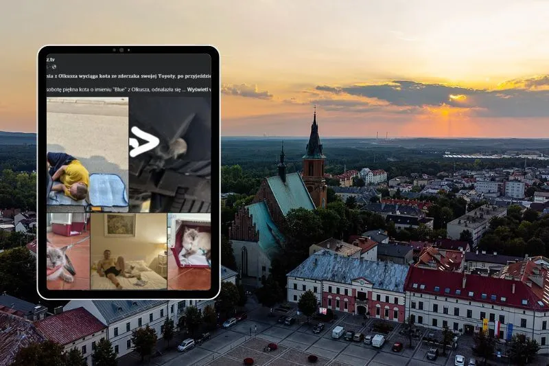 O kocie, który jeździł Toyotą. Nietypowa historia z Olkusza, z finałem na Chorwacji