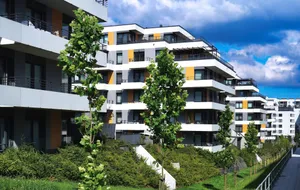 Zieleń, zabytki i szybki tramwaj. To osiedle ma wiele do zaoferowania