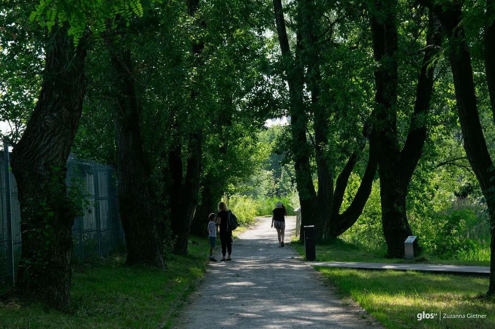 Pogoda na 7 sierpnia: Kraków, Tarnów, Nowy Sącz, Podhale, Miechów