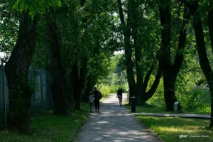 Pogoda na 7 sierpnia: Kraków, Tarnów, Nowy Sącz, Podhale, Miechów