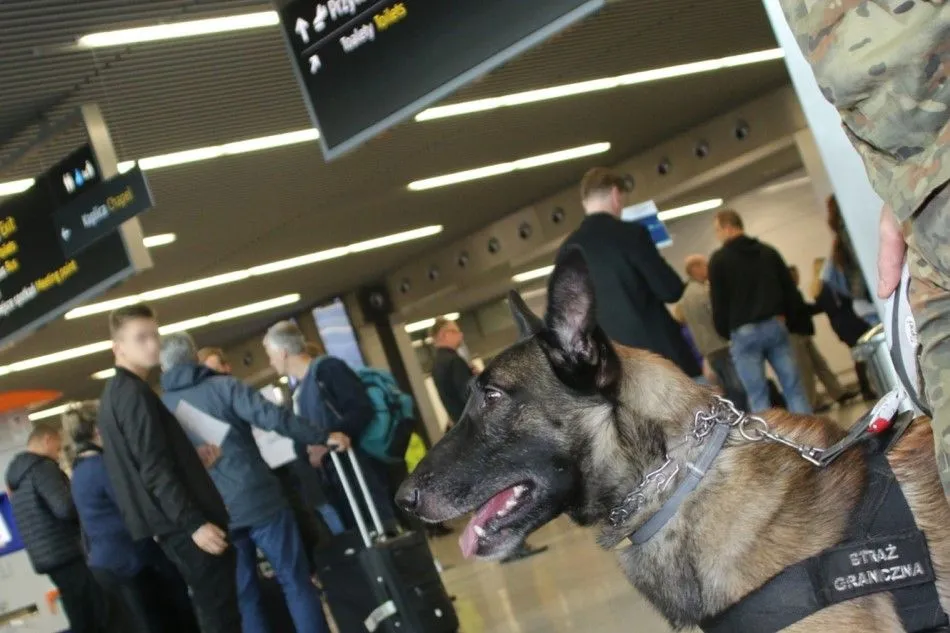 Żarty o granatach i porzucony bagaż. Akcja służb na lotnisku w Krakowie