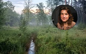 „Chciałam, żeby lasy mogły się zestarzeć”. Anna Treit walczy o zielone serce Małopolski