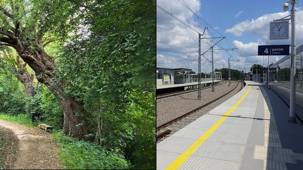 Południowe Bronowice – w rytmie życia i natury