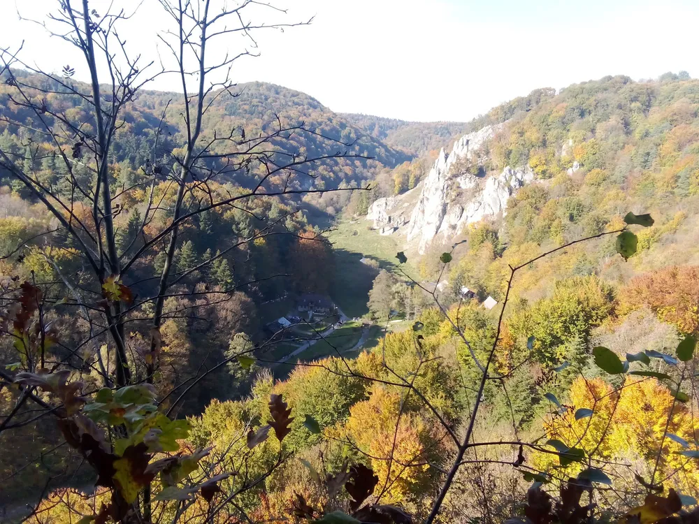 Kochasz Ojcowski Park Narodowy? Wkrótce sprzątanie OPN. Jak dołączyć do akcji?