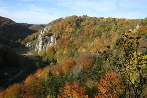Pogoda na 21 października: Kraków, Tarnów, Nowy Sącz, Podhale, Miechów