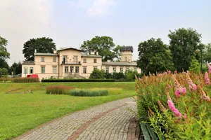 "Stuletnie drzewa pod piłę?" Jest petycja przeciwko planom miasta i hotelarza