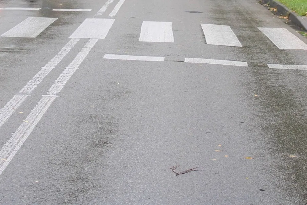 Seria kolizji w powiecie oświęcimskim. Dwanaście zdarzeń jednego dnia