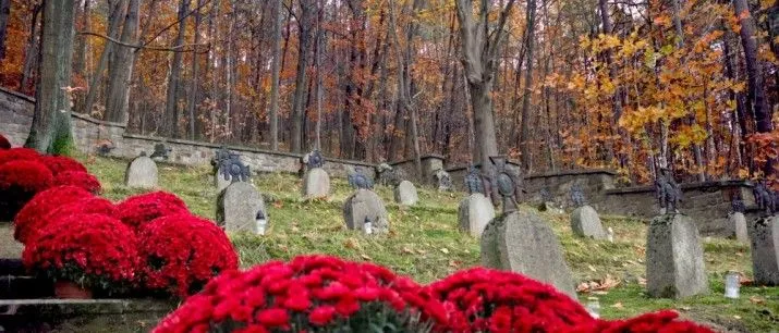 Zmiany w organizacji ruchu i bezpłatna komunikacja na Wszystkich Świętych w Myślenicach