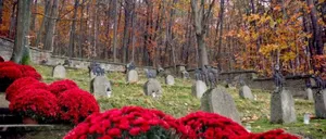 Zmiany w organizacji ruchu i bezpłatna komunikacja na Wszystkich Świętych w Myślenicach