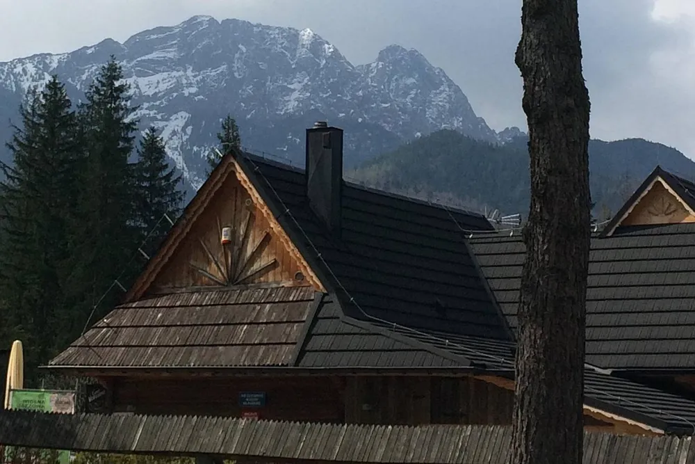 „Potwór w ludzkiej skórze” z Podhala aresztowany. Znęcał się nad matkę, zaatakował kuratora