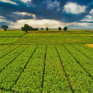 Kurs rolnika – kiedy jest potrzebny, aby posiadać ziemię rolniczą, i jak zdobyte kwalifikacje wpływają na prowadzenie gospodarstwa