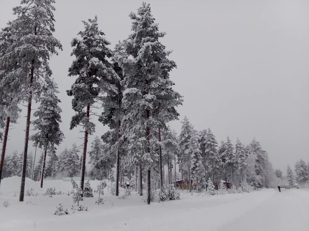 Śnieżyca uderzy w Małopolskę. Alerty I i II stopnia!