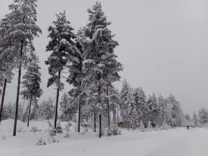 Śnieżyca uderzy w Małopolskę. Alerty I i II stopnia!
