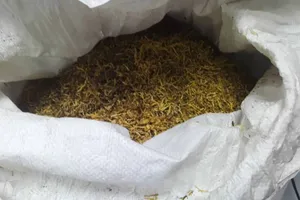 Miał ponad ćwierć tony tytoniu. Zatrzymano mieszkańca powiatu nowosądeckiego