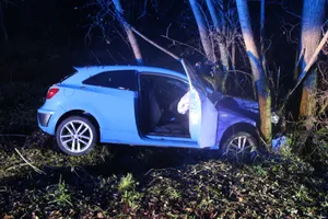 Nocny wypadek pod Oświęcimiem. Samochód uderzył w drzewo, pięć osób trafiło do szpitala