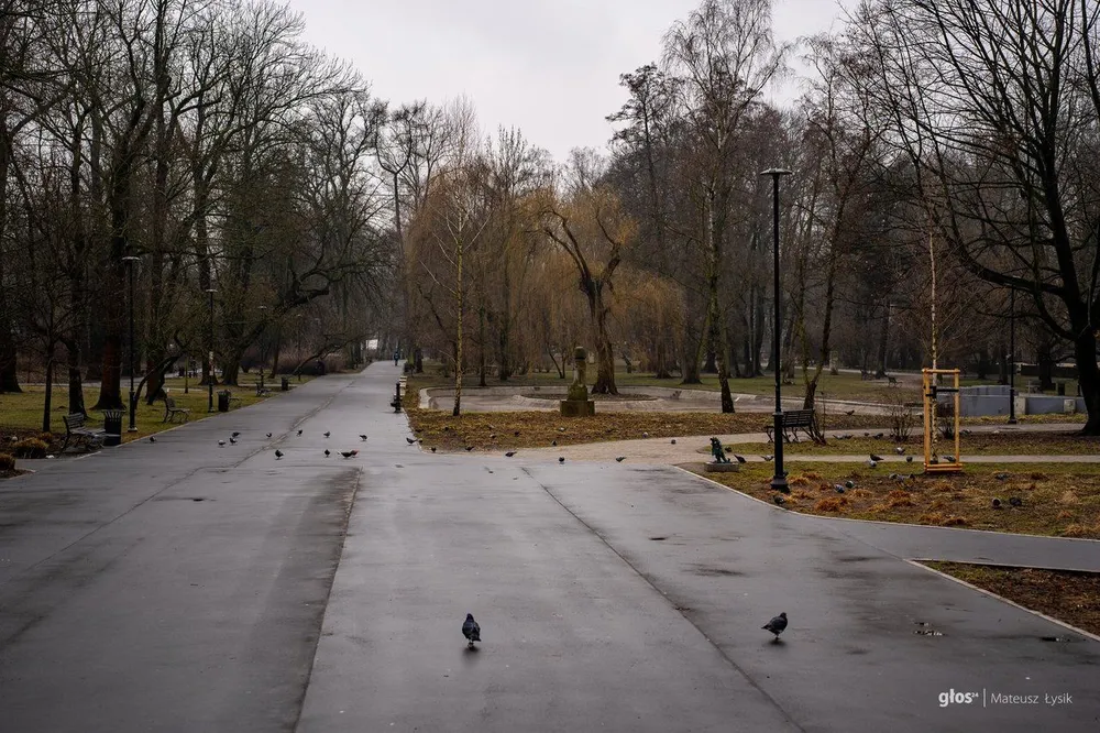 Pogoda na 13 listopada: Kraków, Tarnów, Nowy Sącz, Podhale, Miechów