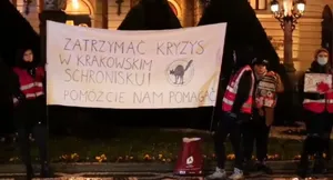 Protest w krakowskim schronisku. Gosek-Popiołek apeluje do miasta