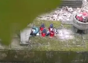 Tajemnicze kradzieże na cmentarzu. Okazało się, że złodziej ma... skrzydła [WIDEO]
