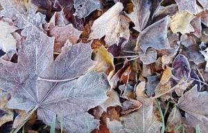 Pogoda na 18 listopada: Kraków, Tarnów, Nowy Sącz, Podhale, Miechów