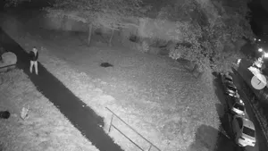 Policja szuka sprawcy napaści na młode małżeństwo. Apel o pomoc