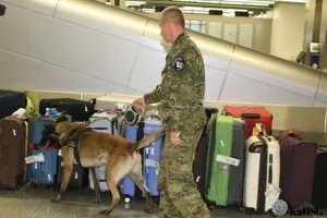 Dwa alarmy bombowe na lotnisku w Krakowie. Głupota będzie ich dużo kosztować