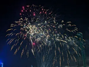 Wiemy, kto rozgrzeje Tarnów w sylwestra. Będą fajerwerki, ale pupile mogą spać spokojnie