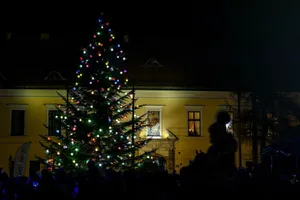 Choinka pod Oknem Papieskim rozbłyśnie po raz 19. Tuż przed Wigilią znów zrobi się naprawdę magicznie