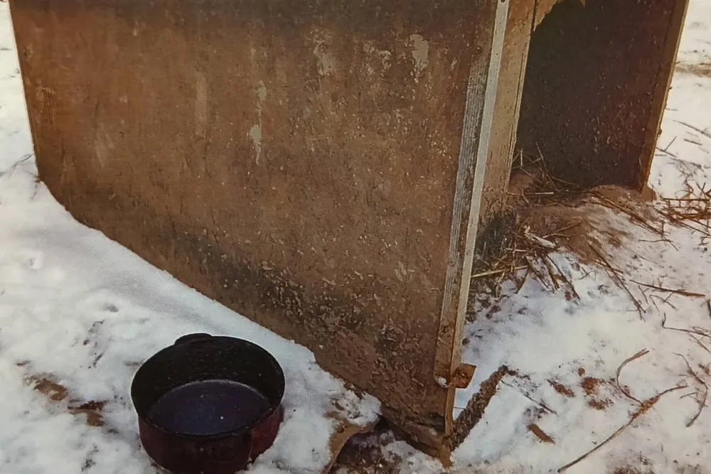 Pies odebrany z posesji pod Andrychowem. Trwa postępowanie