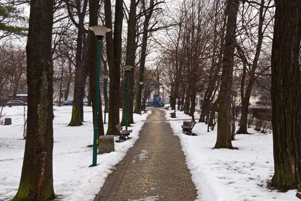 Park Miejski w Olkuszu w nowej odsłonie. Ponad 2,3 mln zł z funduszy unijnych