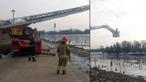 Nietypowa akcja nad Wisłą. Użyto wysięgnika, by uratować przymarzniętego łabędzia