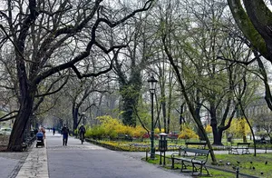 Tego się nie spodziewacie na Plantach. „Żywy plan filmowy”