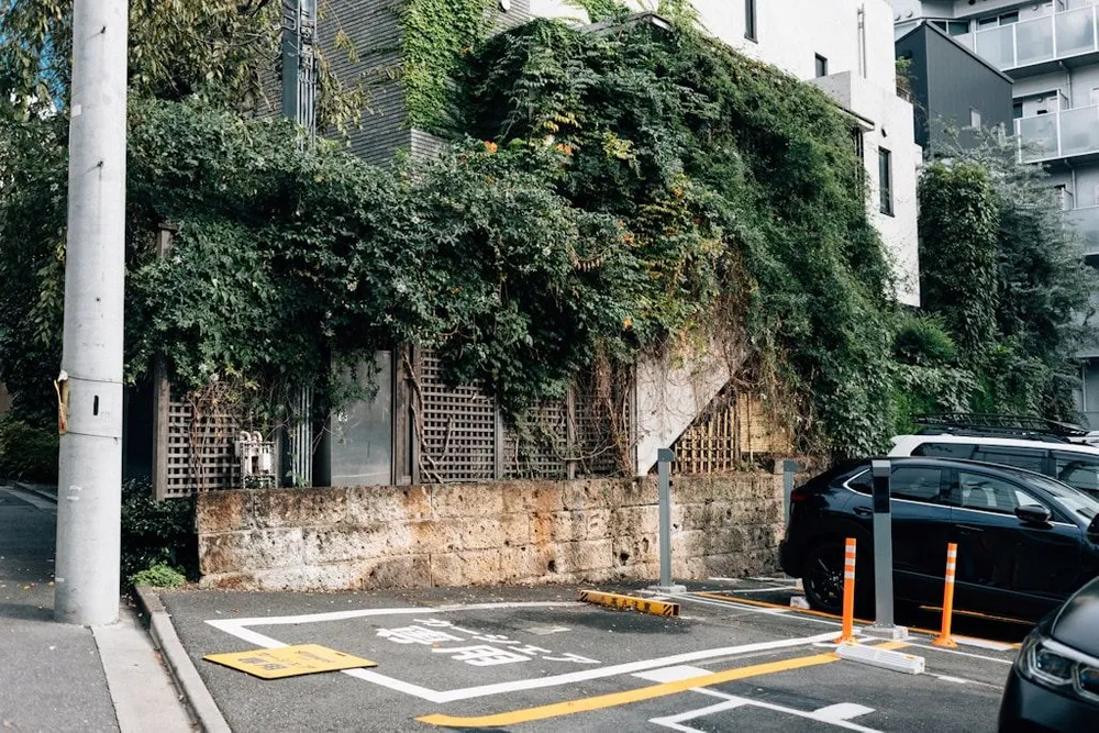 Słupki drogowe elastyczne - gdzie można je zastosować w małopolskiej infrastrukturze i jak wybrać najlepsze?