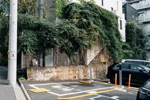 Słupki drogowe elastyczne - gdzie można je zastosować w małopolskiej infrastrukturze i jak wybrać najlepsze?