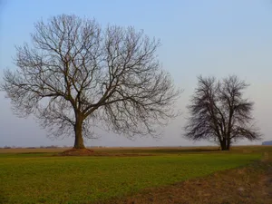 [05.03.2026] Pogoda dla Małopolski. Sprawdź swój region