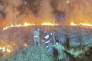 Seria podpaleń w Małopolsce. "Pożar jest zawsze szybszy niż człowiek!"