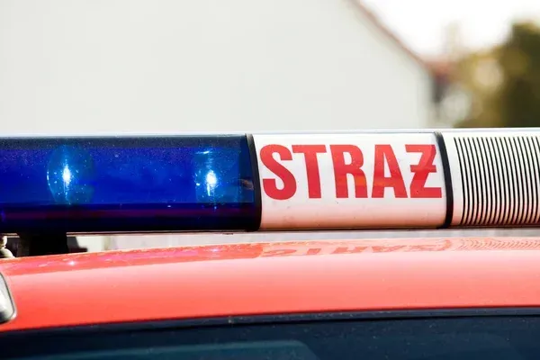 Zielony kogut na aucie? Otrzymają go tylko wybrani kierowcy