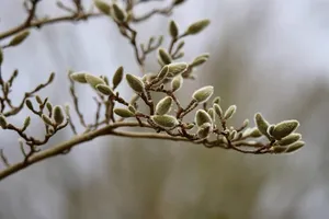 [30.03.2026] Zima nie odpuszcza. W górach zawieje i zamiecie