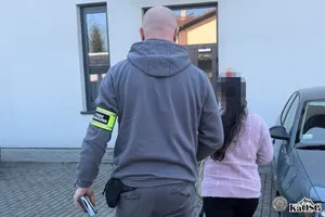 Nielegalny wjazd, fałszywa legitymacja i próba oszustwa. Niecodzienna historia z Małopolski