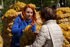 Darmowe ziemniaki do odebrania w Krakowie. "Łącznie mamy 30 ton, które udało nam się uratować"