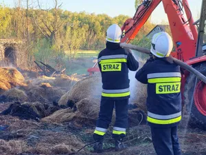Sprawcy mieli tylko 9 lat. Straty są ogromne