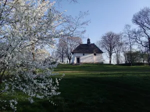 [22.04.2026] Witaj słońce! Prognoza pogody na środę: rano chłodno, w dzień znacznie cieplej